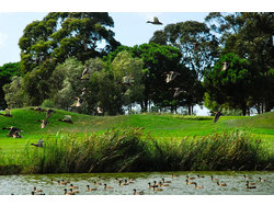 Bild zur gratis inserierten Ferienwohnung Ferienwohnung-715060.