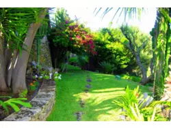 Ferienhaus Ferienhaus-849183 in Alcúdia (Raiguer) - 15 Personen, Hund nicht erlaubt