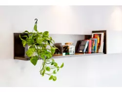 Bild zur gratis inserierten Ferienwohnung Ferienhaus-874352.