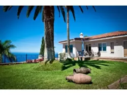 Ferienhaus Ferienhaus-919003 in La Matanza de Acentejo - 6 Personen, Hund erlaubt