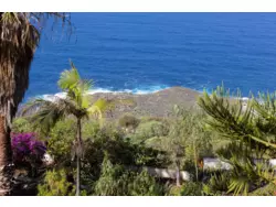 Ferienwohnung Ferienwohnung-919006 in La Matanza de Acentejo - 3 Personen, Hund erlaubt