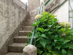 Ferienhaus Ferienhaus-945557 in Saint-Paul-le-Jeune - 6 Personen, Hund nicht erlaubt