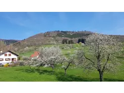 Ferienhaus Ferienhaus-1408369 in Breitenbach - 4 Personen, Hund erlaubt