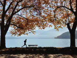 Bild zur gratis inserierten Ferienwohnung Ferienwohnung-1576274.