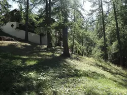 Bild zur gratis inserierten Ferienwohnung Ferienwohnung-1590693.