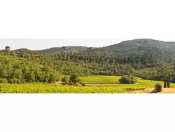 Ferienwohnung Ferienwohnung-1646578 in Signes - 2 Personen, Hund erlaubt