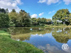 Bild zur gratis inserierten Ferienwohnung Ferienhaus-1907701.