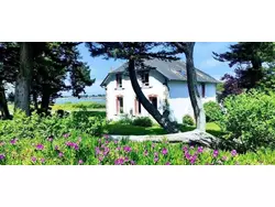 Bild zur gratis inserierten Ferienwohnung Ferienhaus-3301825.