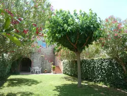 Ferienwohnung Ferienwohnung-2223724 in Elne - 2 Personen, Hund nicht erlaubt