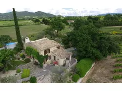 Ferienhaus Ferienhaus-1969913 in Puyméras - 2 Personen, Hund erlaubt