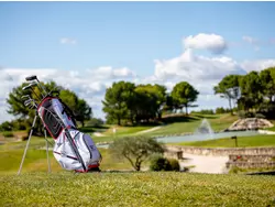 Bild zur gratis inserierten Ferienwohnung Ferienwohnung-3498761.