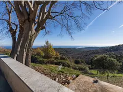 Ferienhaus Ferienhaus-3433960 in San-Giuliano - 5 Personen, Hund erlaubt