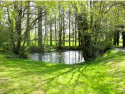 Ferienhaus Ferienhaus-3497677 in Savigny (Coutances) - 3 Personen, Hund erlaubt