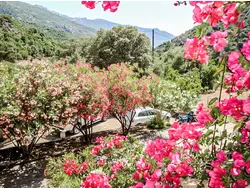 Bild zur gratis inserierten Ferienwohnung Ferienwohnung-3317480.