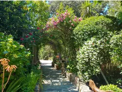 Bild zur gratis inserierten Ferienwohnung Ferienhaus-3499101.