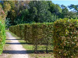 Bild zur gratis inserierten Ferienwohnung Ferienwohnung-3408512.