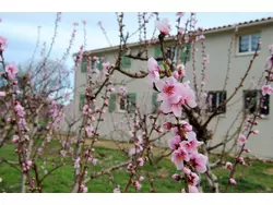 Bild zur gratis inserierten Ferienwohnung Ferienwohnung-2223962.