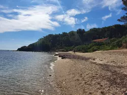 Ferienhaus Ferienhaus-3539095 in Bormes-les-Mimosas - 3 Personen, Hund nicht erlaubt