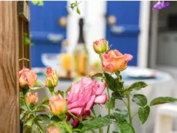 Bild zur gratis inserierten Ferienwohnung Ferienhaus-3315064.