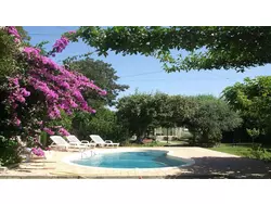 Ferienhaus Ferienhaus-1945156 in Peyriac-Minervois - 6 Personen, Hund erlaubt