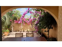 Ferienhaus Ferienhaus-3562041 in Grosseto-Prugna - 4 Personen, Hund nicht erlaubt