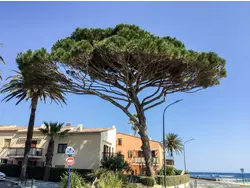 Bild zur gratis inserierten Ferienwohnung Ferienwohnung-3574542.