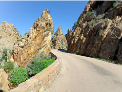 Ferienwohnung Ferienwohnung-19939 in Serriera - 4 Personen, Hund erlaubt