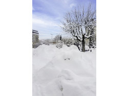 Bild zur gratis inserierten Ferienwohnung Ferienwohnung-25929.