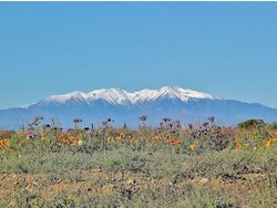 Bild zur gratis inserierten Ferienwohnung Ferienhaus-263792.