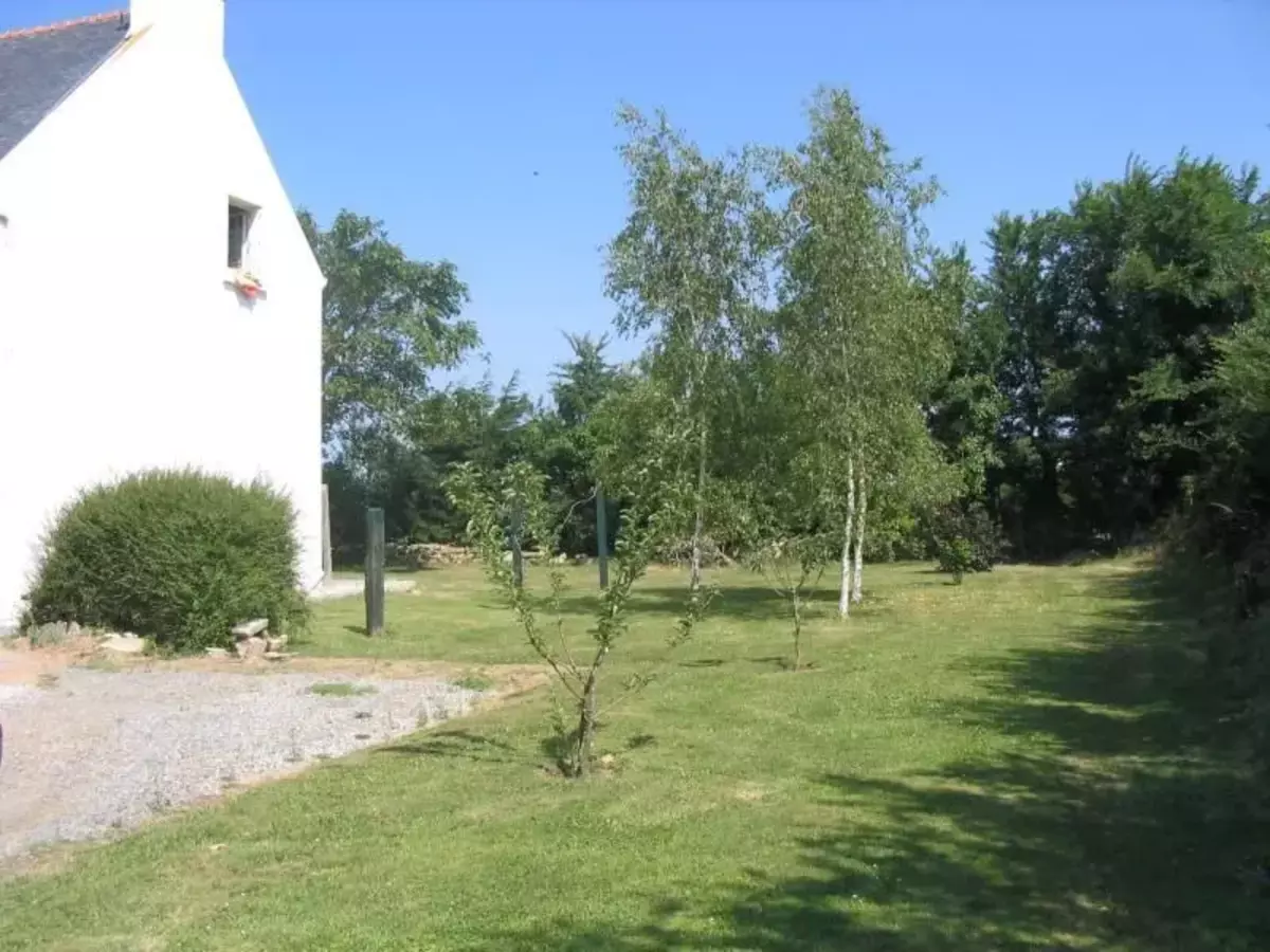 7. Bild Bild-7