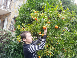 Bild zur gratis inserierten Ferienwohnung Ferienwohnung-681806.