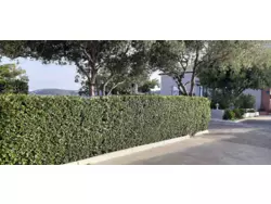 Bild zur gratis inserierten Ferienwohnung Ferienwohnung-922806.