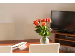 Bild zur gratis inserierten Ferienwohnung Ferienwohnung-950598.