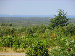 Ferienwohnung Ferienwohnung-957424 in Općina Kanfanar - 6 Personen, Hund erlaubt