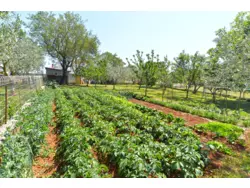 Bild zur gratis inserierten Ferienwohnung Ferienwohnung-957479.