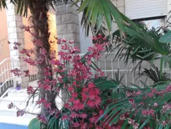 Bild zur gratis inserierten Ferienwohnung Ferienwohnung-958489.