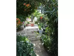 Bild zur gratis inserierten Ferienwohnung Ferienhaus-973730.