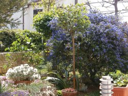 Bild zur gratis inserierten Ferienwohnung Ferienwohnung-1005358.