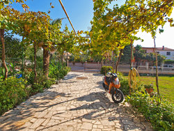 Bild zur gratis inserierten Ferienwohnung Ferienwohnung-1016896.