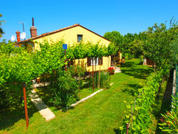 Bild zur gratis inserierten Ferienwohnung Ferienhaus-1148236.