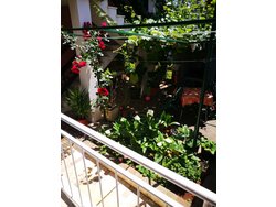 Bild zur gratis inserierten Ferienwohnung Ferienwohnung-1150093.