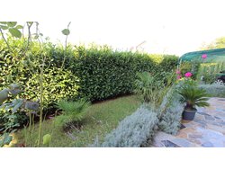 Bild zur gratis inserierten Ferienwohnung Ferienwohnung-1170536.