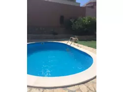 Bild zur gratis inserierten Ferienwohnung Ferienwohnung-1173707.