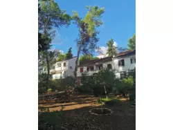 Bild zur gratis inserierten Ferienwohnung Ferienwohnung-1175659.