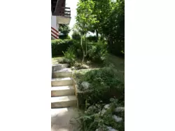 Bild zur gratis inserierten Ferienwohnung Ferienhaus-1177280.