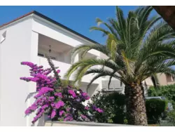 Bild zur gratis inserierten Ferienwohnung Ferienwohnung-1239467.