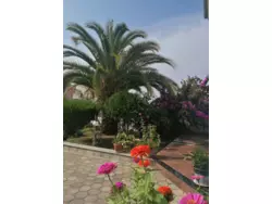 Bild zur gratis inserierten Ferienwohnung Ferienwohnung-1239468.