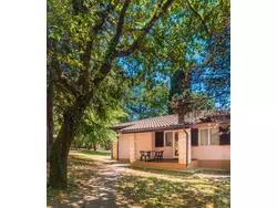 Bild zur gratis inserierten Ferienwohnung Ferienhaus-427179.