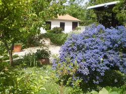 Bild zur gratis inserierten Ferienwohnung Ferienhaus-454948.