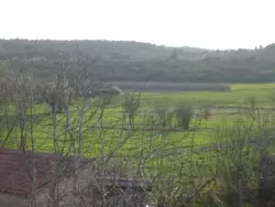 Bild zur gratis inserierten Ferienwohnung Ferienwohnung-657919.